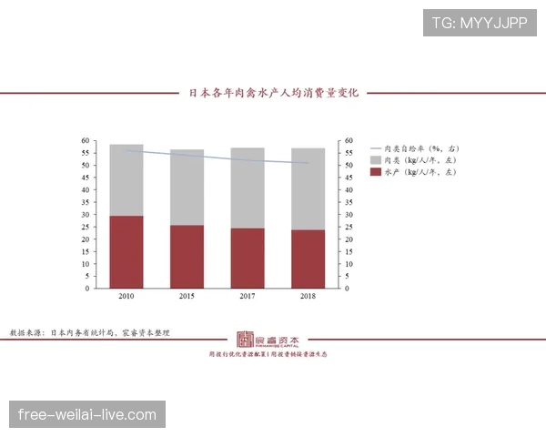 VAR介入判罚的四大关键条件与执行逻辑