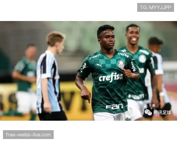 恩德里克与维尼修斯：巴西新星成长轨迹与阶段发展差异解析