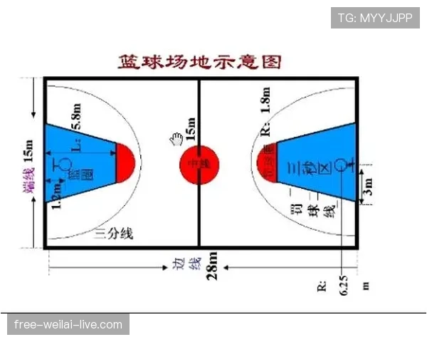 篮球规则揭秘：打手犯规的判定标准与判罚依据
